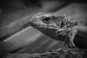 便秘薬飲みすぎるとどんな影響があるの？