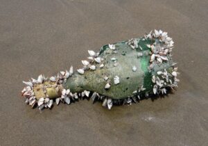 便秘解消に効果的な即効ツボはどこにある？