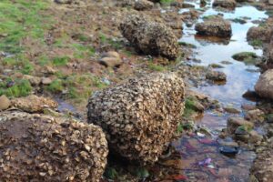 便意を抑えるツボを押すことで得られる効果とは？