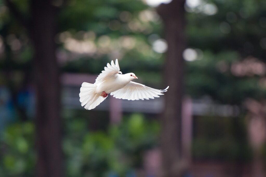 便秘解消に効果的なツボを押すことで即効性を得る手は？