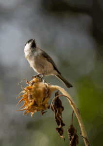 便秘解消のツボを押して効果的に改善する方法は？