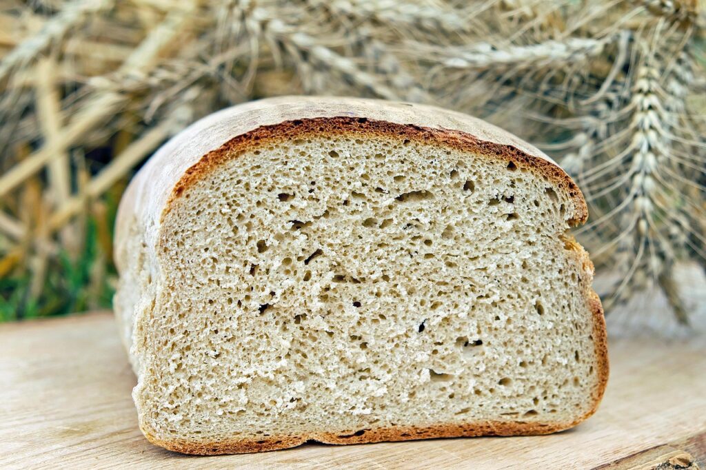 腸活中でもパンを食べてもいい理由とは？