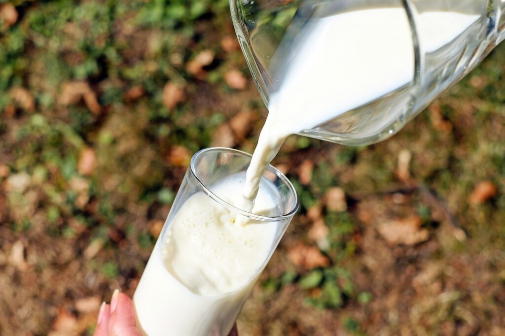 腸活中に牛乳を飲んでもいいのか？