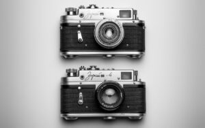 プレバイオティクスに効果的な食べ物をわかりやすく教えてくれる？