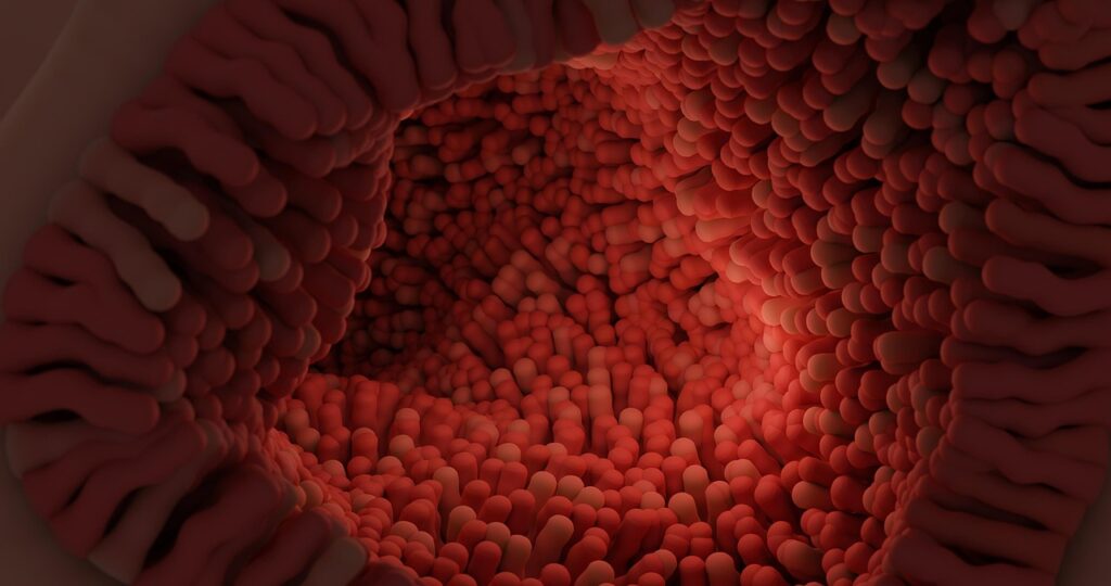 子どもと一緒に楽しむ腸活におすすめの食べ物は？