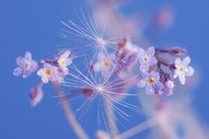 腸内フローラを整える食習慣で健康を改善する方法は？