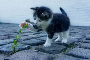 腸美人になるための食事の失敗談とは何か？